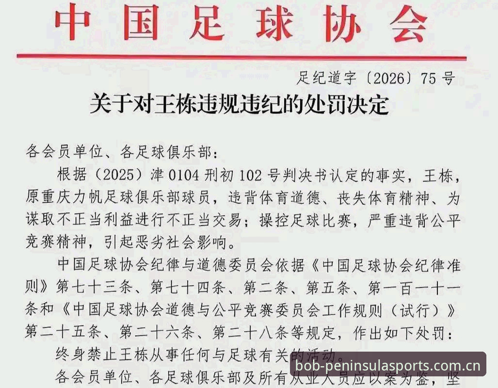 bob体育最新版本必备 中国足协第三批禁足名单曝光:3个关键维度解析65人重罚背后的行业整顿风暴